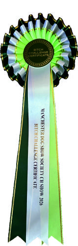 Challenge Certificate Rosette